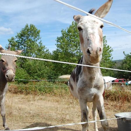 Camping La Foret Du Morvan Larochemillay Eksteriør billede