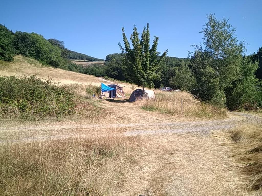 Camping La Foret Du Morvan Larochemillay Eksteriør billede